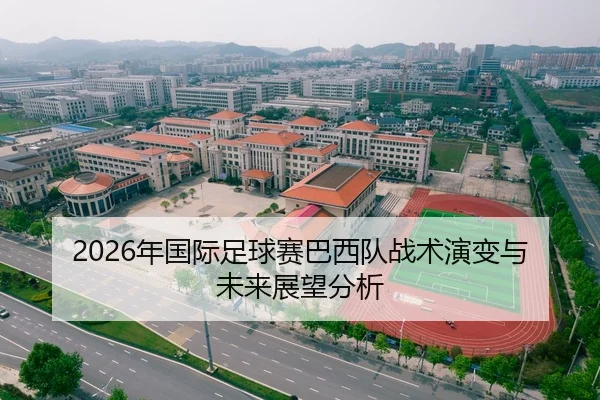 2026年国际足球赛巴西队战术演变与未来展望分析