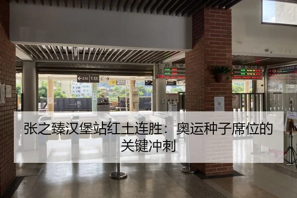 张之臻汉堡站红土连胜：奥运种子席位的关键冲刺